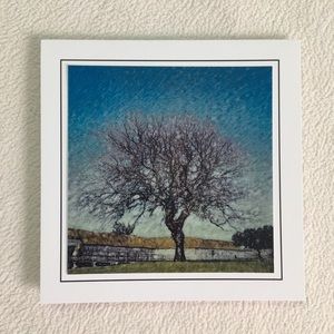 Glossy Tree Photograph Card